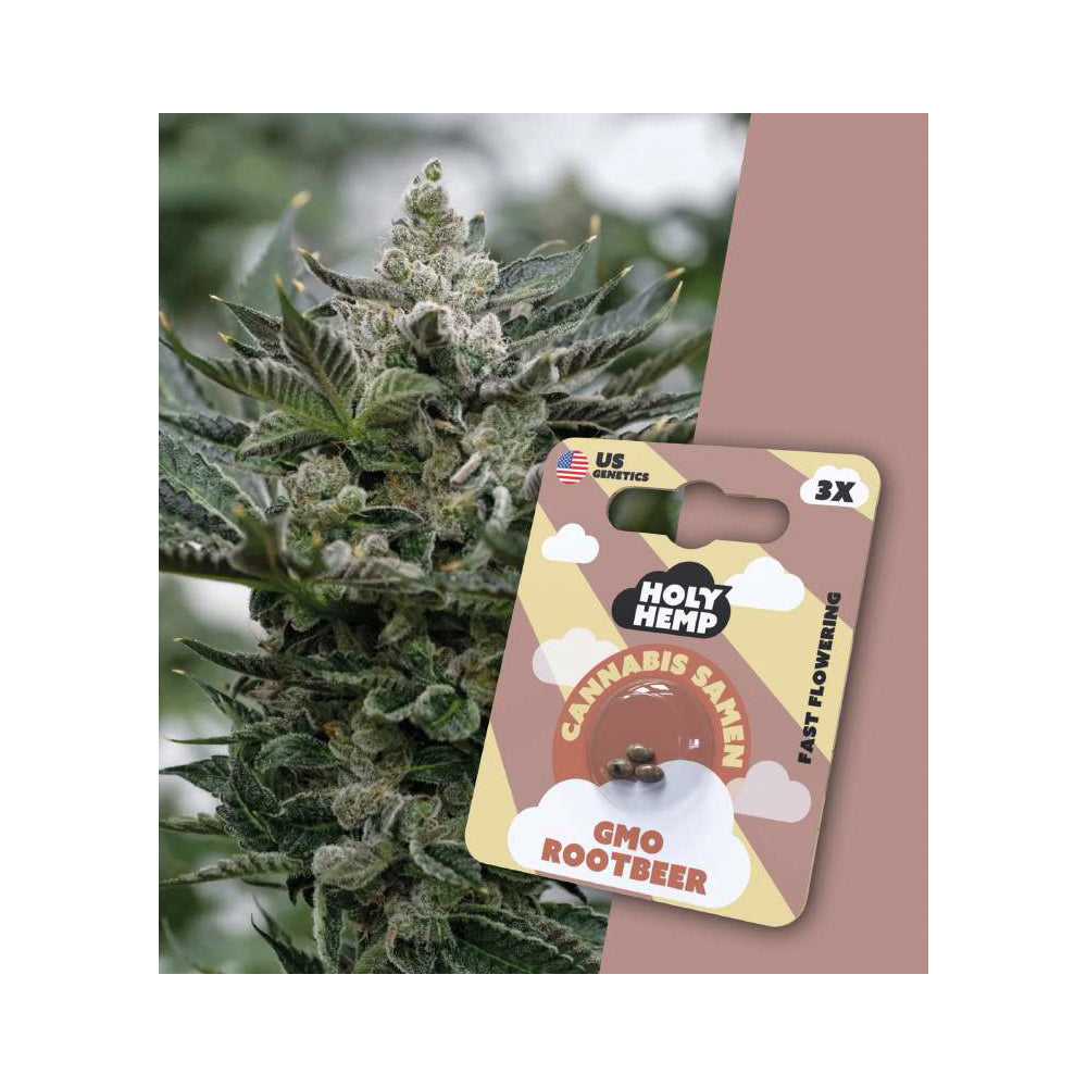 Holy Hemp Cannabis Samen Fast Flowering - GMO Rootbeer - US Genetics