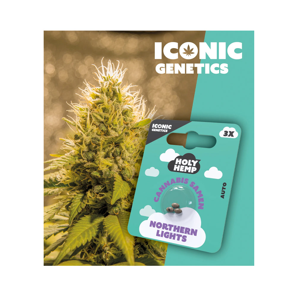 Holy Hemp Cannabis Samen Autoflowering - Northern Lights - Iconic Genetics