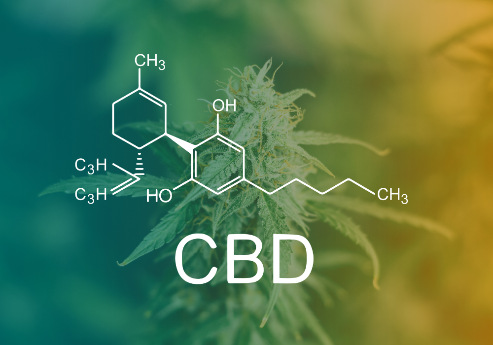 Was ist CBD eigentlich? – Dein Einstieg in die Welt der Cannabinoide