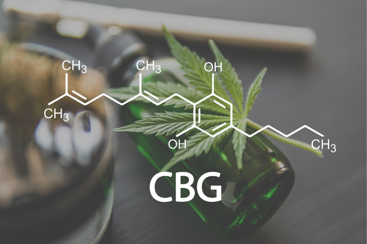 CBG Produkte