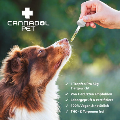 Cannadol Pet - Premium CBD Pflegeöl für Hunde 10% - 10 ml