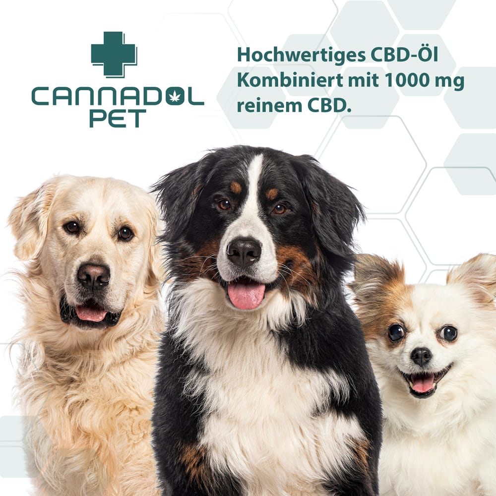 Cannadol Pet - Premium CBD Pflegeöl für Hunde 10% - 10 ml