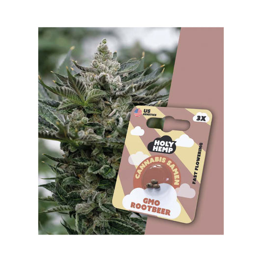 Holy Hemp Cannabis Samen Fast Flowering - GMO Rootbeer - US Genetics