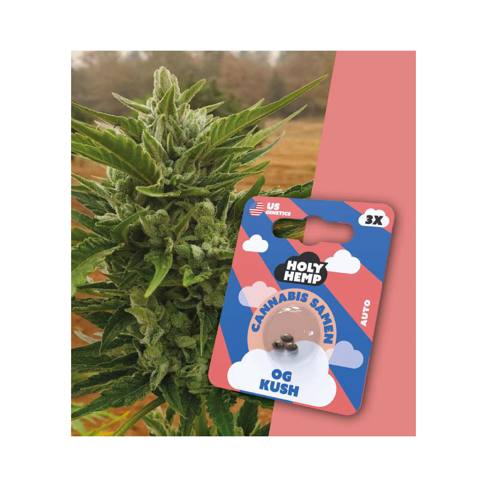 Holy Hemp Cannabis Samen Autoflowering - OG Kush - US Genetics