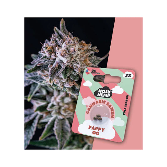 Holy Hemp Cannabis Samen Full Season - Pappy OG - US Genetics