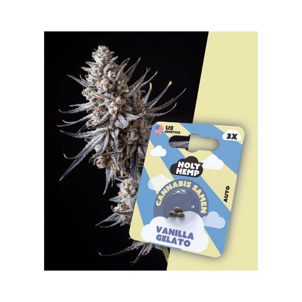 Holy Hemp Cannabis Samen Autoflowering - Vanilla Gelato - US Genetics