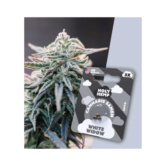 Holy Hemp Cannabis Samen Autoflowering - White Widow - US Genetics