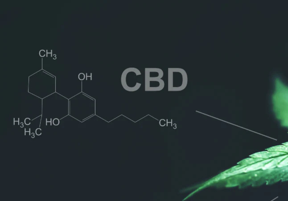 <p><strong>CBD vs. THC</strong></p>